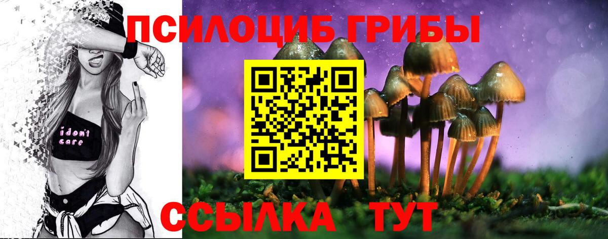 Галлюциногенные грибы MAGIC MUSHROOMS  Вход с VPN  Артём 